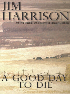 A Good Day to Die - ebook